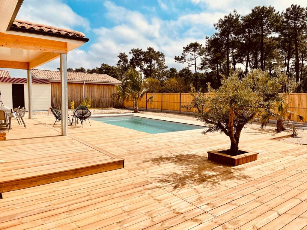 Villashomeclet - Villa Palm Beach Vensac Extérieur photo